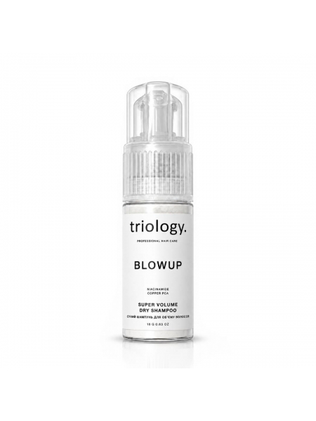 Сухий шампунь Triology BlowUP Dry Shampoo для освіження та об'єму волосся, 18 г