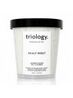 Шампунь-скраб Triology Scalp Reset для волос и кожи головы с морской солью и углем, 500 г