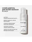 Сухий шампунь Triology BlowUP Dry Shampoo для освіження та об'єму волосся, 18 г