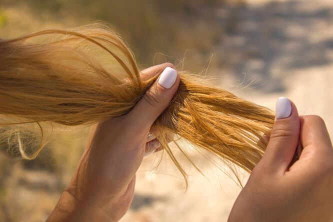 Сила природы для сухих и ломких волос